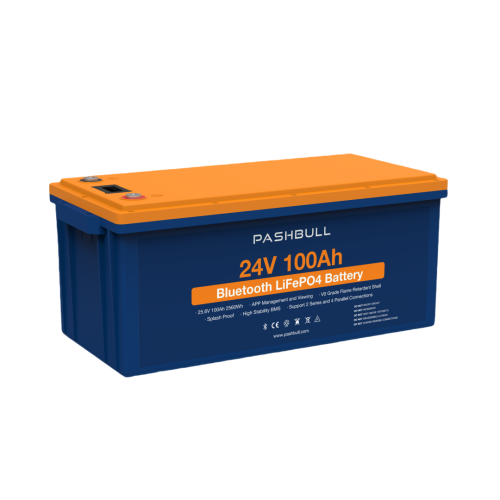 24V 100Ah LiFePO4 Deep Cycle Battery