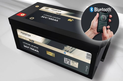 38.4V Lithium 100Ah LiFePO4 Standard Battery