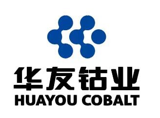 Jiangsu Huayou Energy Technology Co., Ltd
